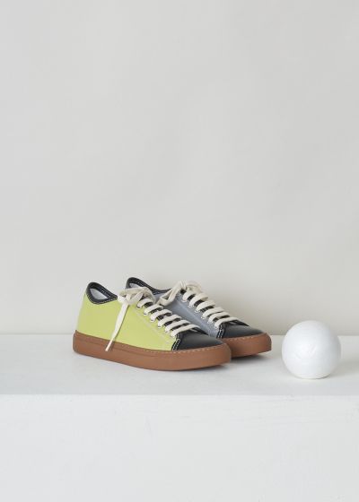 Sofie d’Hoore Multicolor lace-up Frida sneakers
